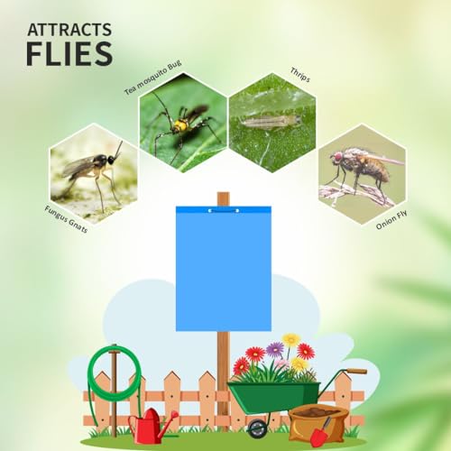 HEDO नीला PVC चिपचिपा ट्रैप (साइज़ 22 X 28 सेमी) गैर विषैला, थ्रिप्स, एफिड्स और व्हाइटफ़्लाई को नियंत्रित करने के लिए गैर-सूखने वाला 10 का पैक