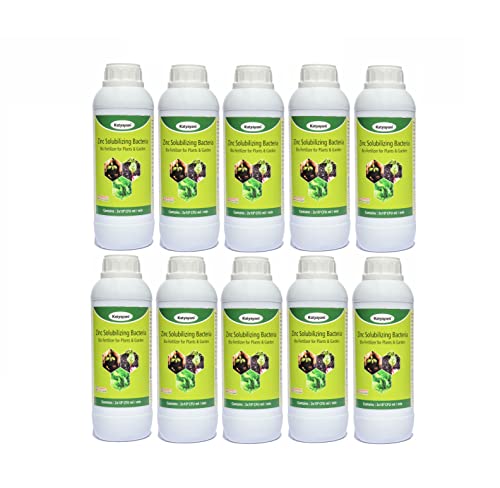 Katyayani Zinc Solubilizing Bacteria Bio Fertilizer Zinc Provider for All Plants and Home Garden Eco Friendly Liquid Zinc Fixing Bacteria Recommended by Npop for Organic Farming ( 5 X 10*8 Cfu Ml/min ) - 10 Litre Pack