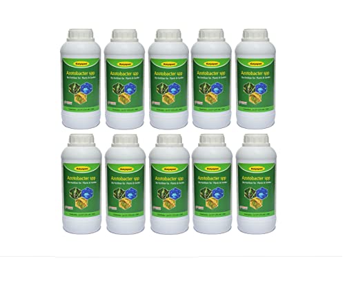 Katyayani Azotobacter Bio Fertilizer for Plants and Home Garden Nitrogen Provider in Fruits Vegetables Spices Fibre Aromatic Medicinal Ornamental Crops Eco-Friendly Liquid Nitrogen-Fixing Bacteria Recommended by Npop for Organic Farming ( 5 X 10*8 Cfu Ml/