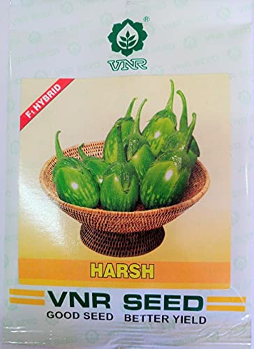 वीएनआर हर्ष हाइब्रिड एफ1 गुणवत्ता वाले बैंगन के बीज 10 ग्राम - भाटी