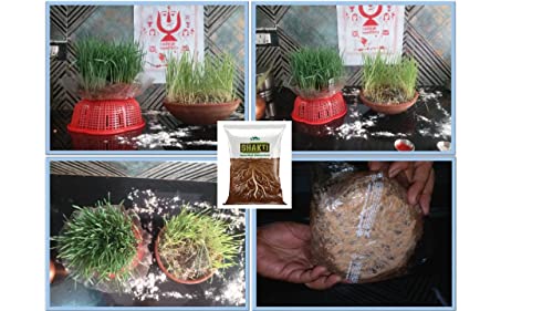 Sunfield Agro Shakti VAM Mycorrhiza Root Growth Booster & Essential Organic Plant Fertilizer Enriched with Power of Humic Acid and Seaweed Extract (1 Kg)