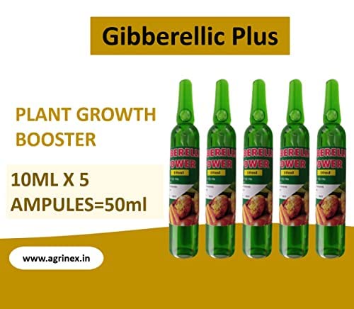 एग्रीनेक्स कॉर्पोरेशन जिबरेलिक पावर (0.1%)/ सब्जी विशेष/ केला-टमाटर विशेष/पौधे वृद्धि बूस्टर/पौधे हार्मोन/पौधे वृद्धि हार्मोन (जिबरेलिक पावर)।,10mlX5 एम्पुल (50ml) 2 का पैक