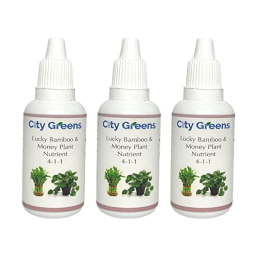fertilizer for lucky bamboo plants City Greens Lucky Bamboo & Money Plant Nutrient 90 ml
