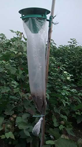 GAIAGEN Funnel Trap: Your Guardian Angel Against Crop-Destroying Pests!