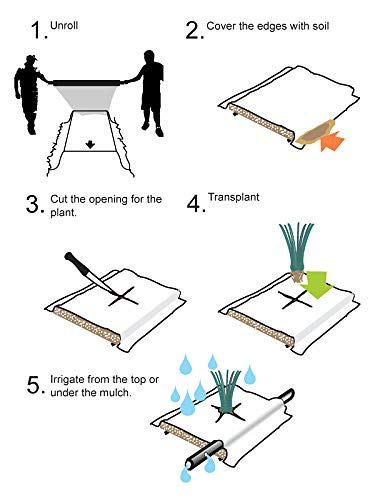 MIPATEX: Your Shield for Bumper Harvests