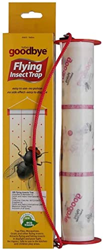 use fly insect trap in kitchen