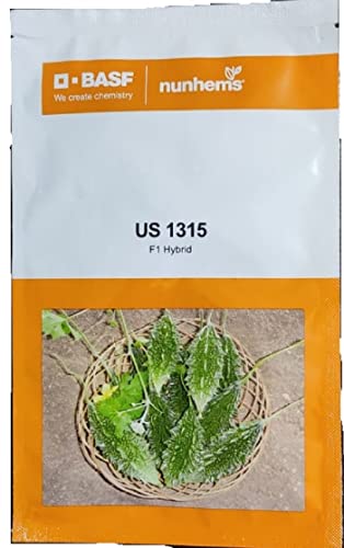 तिखट US 1315-100 बिया (15 ग्रॅम)