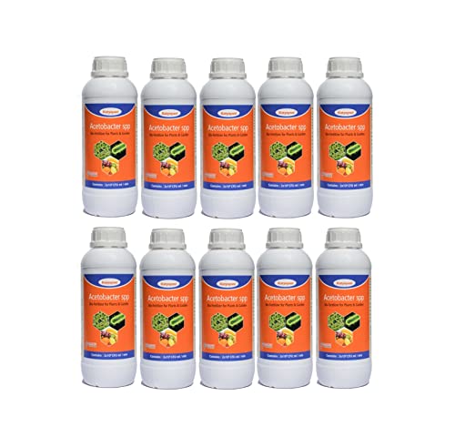 Katyayani Acetobacter Bio Fertilizer 10L for Plants and Home Garden Nitrogen Provider for Sugarcane Sweet Sorghum Sweet Corn Eco-Friendly Liquid Nitrogen-Fixing Bacteria Recommended by NPOP for Organic Farming | 5 X 10^8 Cfu Ml/min | 1000ml x 10