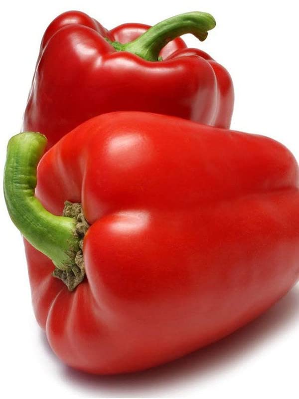 Radha Krishna Agriculture® Imported Capsicum Vegetable Seeds | Red Capsicum Seed For Your Home Garden Pack of 50 Gram Seeds
