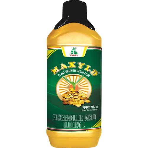 MAXYLD 500 ML (DHANUKA)