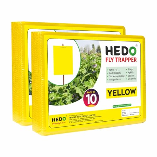 HEDO फ्लाई ट्रैपर पीली चिपचिपी शीट खेती और आउटडोर के लिए थ्रिप्स, एफिड्स और व्हाइटफ़्लाइज़ को नियंत्रित करने के लिए 2 का पैक (20 पीस)