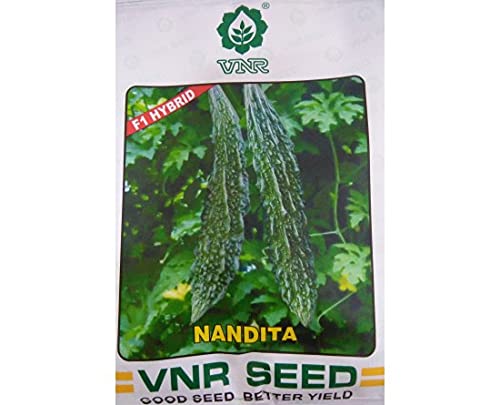 VNR Nandita Hybrid F1 quality Bittergourd seeds 50gm - Karela
