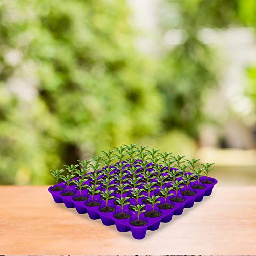 Kraft Seeds सीडलिंग प्रो ट्रे रंगीन आकर्षक और सुंदर 49 कैविटी (10 का पैक)
