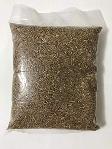 Shivansh Emmer Long Wheat Farro, 1kg