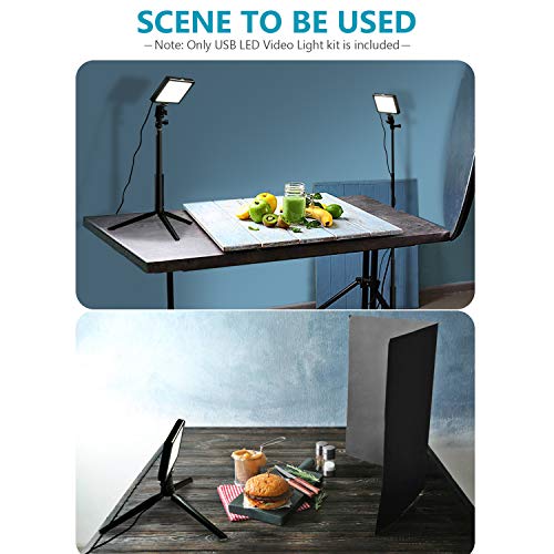 Neewer 2 Packs Dimmable 5600K USB LED Video Light with Adjustable Tripod Stand/Color Filters for Tabletop/Low Angle Shooting, Colorful LED Lighting, Product Portrait YouTube Video Photography