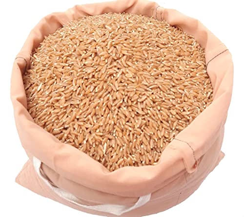 RANMEVA Way Back To The Origin organic khapli wheat, Emmer wheat Ancient whole long grain, 5 kg