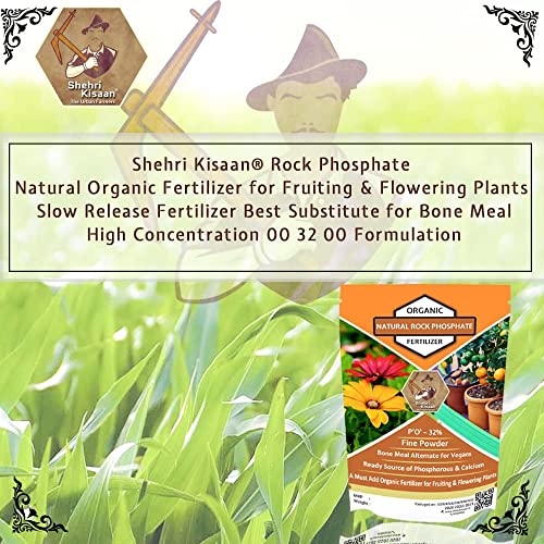 Shehri Kisaan® Rock Phosphate Natural- 5Kg | Organic Fertilizer for Fruiting & Flowering Plants | Slow Release Fertilizer Best Substitute for Bone Meal | High Concentration 00 32 00 Formulation