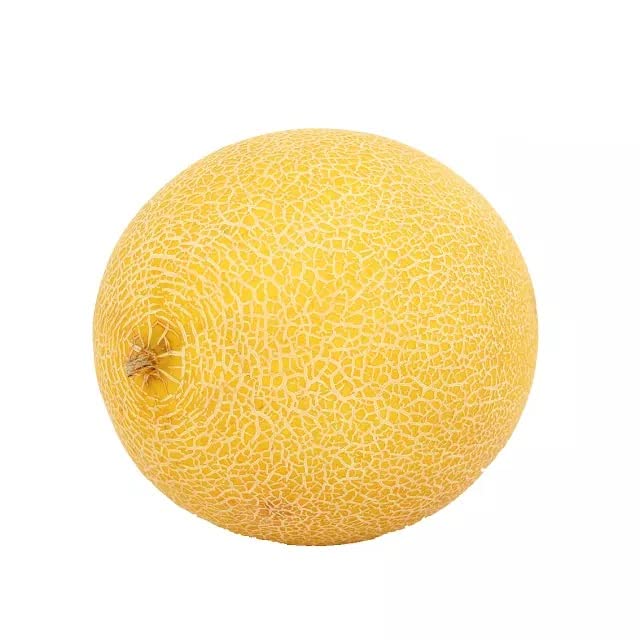 Super Sweet Yellow Musk Melon Fruit Fruit Plant Seeds (80 Seeds Packet)