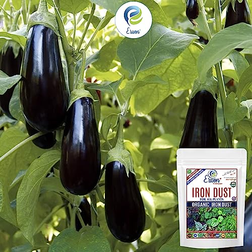 Erwon® Organic Iron Dust for All Plants, Magnetic Iron Oxide Powder for Overall Growth of Plants (400 gm)