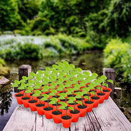 Kraft Seeds सीडलिंग प्रो ट्रे रंगीन आकर्षक और सुंदर 49 कैविटी (10 का पैक)
