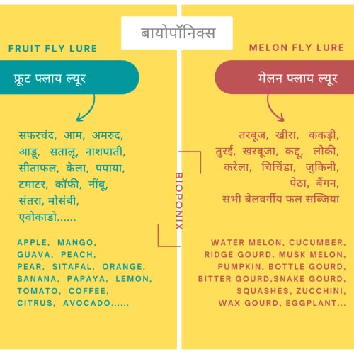 बायोपोनिक्स फ्रूट फ्लाय ट्रॅप लूर (बॅक्ट्रोसेरा डोर्सालिस) | 10 Lures चे पॅक | (सापळा समाविष्ट नाही) आंबा, पपई, चिकू, संत्री, सीताफळ, लिंबू, सफरचंद, केळी, जामुन, अंजीर, पेरू इ.
