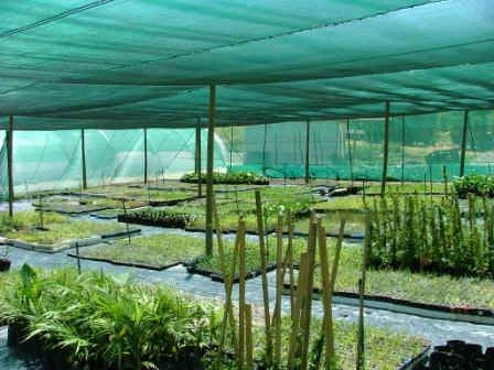 green house for garden