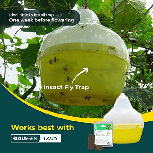 GAIAGEN मेलन फ्लाई ल्यूर कॉम्बो पैक - फेरोमोन ल्यूर मेलन फ्लाई (बैक्ट्रोसेरा कुकुर्बिटा) और इन्सेक्ट फ्लाई ट्रैप के लिए | शामिल है - 10 लालच और 10 जाल