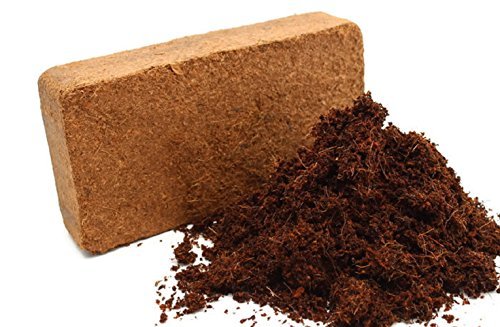TrustBasket Cocopeat 5 kg ब्लॉक | पावडर 75 लीटर पर्यंत विस्तारते | हायड्रोपोनिक प्लांट्स, किचन गार्डनिंग आणि टेरेस गार्डनिंग, इनडोअर प्लांट्स आणि आउटडोअर प्लांट्स
