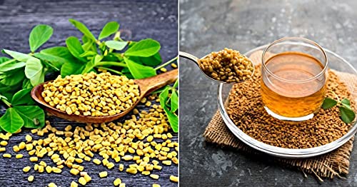 EYWA - मेथी की सब्जी के बीज - मेथी के बीज - कसूरी मेथी के बीज - खेती के लिए बीज - होम गार्डन के बीज (1 Kg)