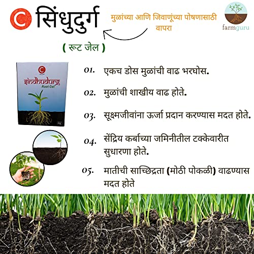 फार्मगुरु | सी सिंधुदुर्ग - 1 किलो | सभी फसलों के लिए रूट जेल| जैव-उत्तेजक | 3-4 दिनों में जड़ वृद्धि बढ़ाता है| उच्च फसल उपज | मृदा स्वास्थ्य एवं सरंध्रता | प्रीमियम पीजीआर | मजबूत फसलें | रिचचार्ज | 100% मूल प्राकृतिक
