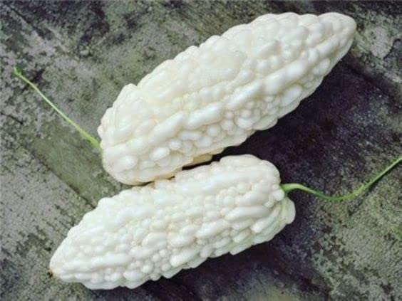 imported bitter groud seeds
