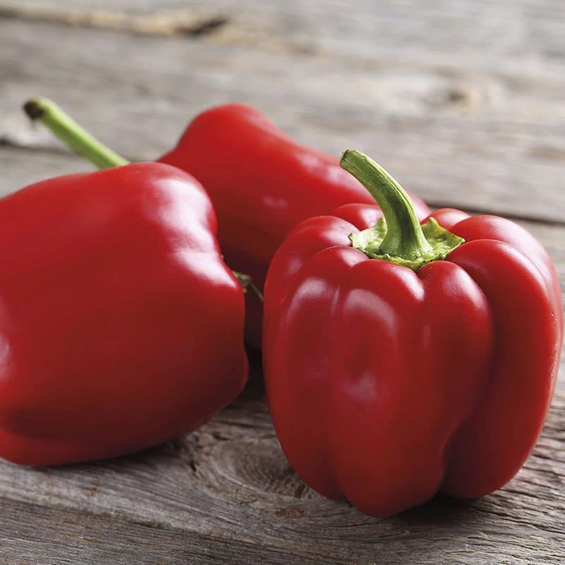 Radha Krishna Agriculture® Imported Capsicum Vegetable Seeds | Red Capsicum Seed For Your Home Garden Pack of 50 Gram Seeds