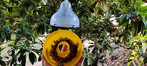 Green Revolution Maxplus Melon Fruit Fly Pheromone Trap With Lure Combo Pack, Yellow
