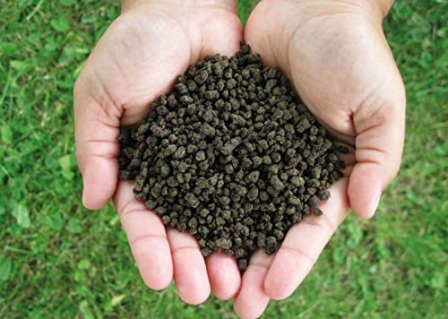 KNR PROM Fertilizer (Phosphate Rich Organic Manure) - 2.7 Kg | Oranic PROM Fertilizer for Plant and Gardening - 2.7 Kg