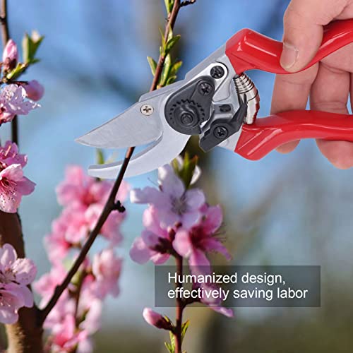 Pruning Shears, Pointed Branch Scissor for Agriculture'$