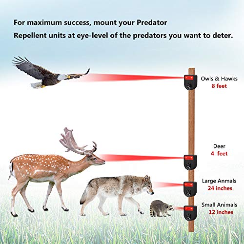 LOMEREY Pack of 4 Soar Powered Deer Chaser Light Nocturnal Animal Deterrent Scares Coyote Fox Racoon Skunk Nighttime Animal from Garden, Yard, Chicken Coop