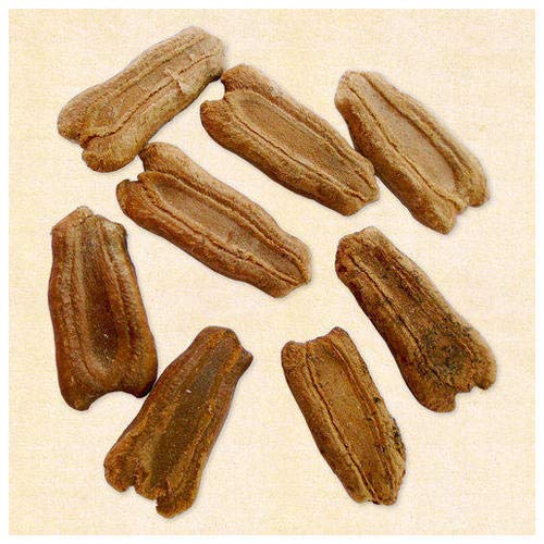 advanta upl हाईब्रिड गोल्डन सीड सुनंद बॉटल गार्ड 10 पीस