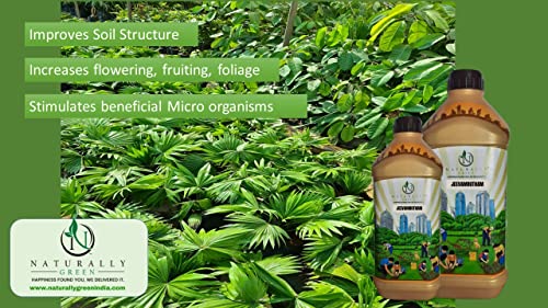 Naturally Green Jeewamrutham Organic Plant Growth and Immunity Booster Natural Plant Nutrients for Gardens 2 LTR