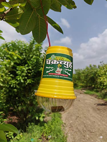 B & B Agro Products चक्रव्यूह फ्रूट फ्लाई ट्रैप (5 का पैक, 5 ट्रैप और 5 ल्यूर शामिल हैं)