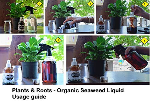 Plants & Roots Seaweed Extract Liquid/Seaweed Fertilizer/Seaweed Organic Fertilizer for All Indoor and Outdoor Plants -with Easy squezze Bottle (100 ml)