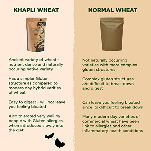 Two Brothers Organic Farms - Khapli Wheat Flour (2 kg) | High Dietary Fiber for Easy Digestion | Stoneground Emmer Atta