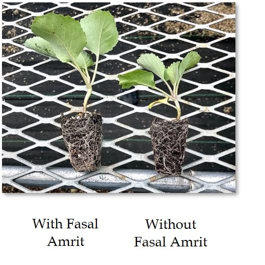 hydrogel benefits to plants