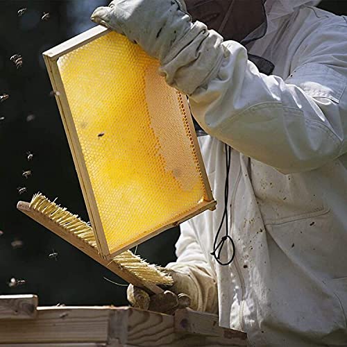 KB Netrue Honey Bee Honey Sheets10-Piece Beeswax Honeycomb Sheets Wax Foundation Beekeeping Beeswax Sheet Bee Nest Foundation Wax Sheet Beehive Bed Hive Honey+Nest+Base (yellow-10)