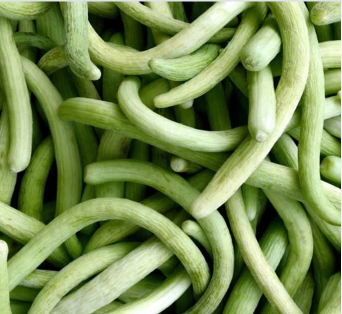 MYLAWN Cucumber Armenian, Yardlong Cucumber, Snake Melon-A31K-120Seeds