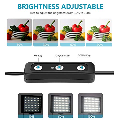 Neewer 2 Packs Dimmable 5600K USB LED Video Light with Adjustable Tripod Stand/Color Filters for Tabletop/Low Angle Shooting, Colorful LED Lighting, Product Portrait YouTube Video Photography