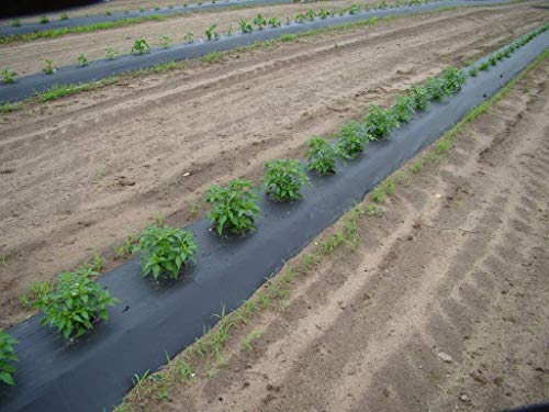 MIPATEX: Your Shield for Bumper Harvests