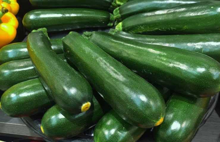 Radha Krishna Agriculture® Zucchini Vegetable Seeds | Green Zucchini Seed For Your Home Garden Pack of 50 Gram Seeds