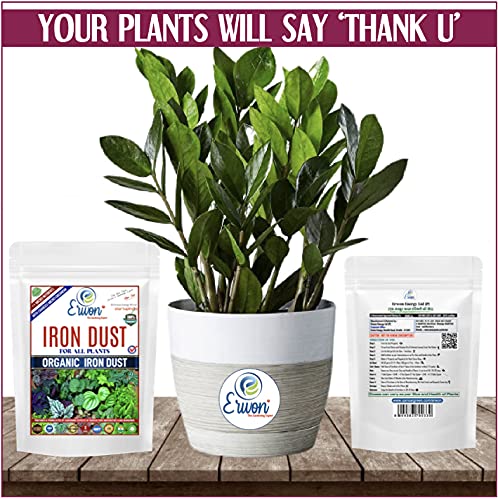 सभी पौधों के लिए एर्वोन® ऑर्गेनिक आयरन डस्ट, पौधों के समग्र विकास के लिए चुंबकीय आयरन ऑक्साइड पाउडर (900 ग्राम)