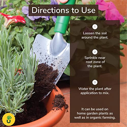 Ugaoo Cow Dung Manure Fertilizers for Plants & Home Gardening - 5 kg