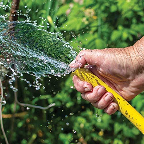 UGAOO Unbreakable Braided Green Water Hose PVC Pipe With 2 Clamps For Home Gardening,Cleaning, Outdoor-Indoor Use (Diameter: 0.75 Inch, Length: 10 Meters)